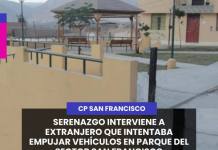 SERENAZGO INTERVIENE A EXTRANJERO QUE INTENTABA EMPUJAR VEHÍCULOS EN PARQUE DEL SECTOR SAN FRANCISCO