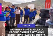 TORATA | SOUTHERN PERÚ IMPULSA LA PRODUCCIÓN DE PALTO CON RIEGO TECNIFICADO EN TORATA.