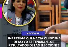 NACIONAL | JNE ESTIMA QUE HACIA QUINCENA DE MAYO SE TENDRÁN LOS RESULTADOS DE LAS ELECCIONES PRESIDENCIALES.