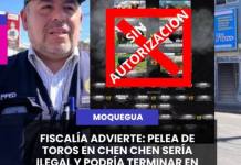 MOQUEGUA| FISCALÍA ADVIERTE: PELEA DE TOROS EN CHEN CHEN SERÍA ILEGAL Y PODRÍA TERMINAR EN TRAGEDIA.