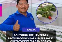TORATA | SOUTHERN PERÚ ENTREGA INVERNADEROS PARA IMPULSAR EL CULTIVO DE FRESAS EN TORATA.