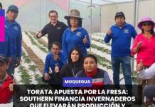 TORATA | TORATA APUESTA POR LA FRESA, SOUTHERN FINANCIA INVERNADEROS QUE ELEVARÁN PRODUCCIÓN Y CALIDAD