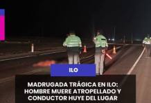 ILO | MADRUGADA TRÁGICA EN ILO: HOMBRE MUERE ATROPELLADO Y CONDUCTOR HUYE DEL LUGAR.