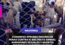 NACIONAL | CONGRESO APRUEBA ENDURECER PENAS CONTRA EL MALTRATO ANIMAL: AGRESIONES SEXUALES Y MUERTES RECIBIRÁN SANCIONES SEVERAS.