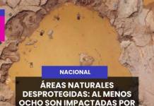 NACIONAL | ÁREAS NATURALES DESPROTEGIDAS: AL MENOS OCHO SON IMPACTADAS POR LA MINERÍA ILEGAL.