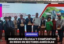 TORATA | RENUEVAN VÁLVULA Y COMPUERTAS DE RIEGO EN SECTORES AGRÍCOLAS DE TORATA.