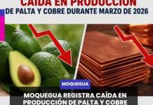 MOQUEGUA | MOQUEGUA REGISTRA CAÍDA EN PRODUCCIÓN DE PALTA Y COBRE DURANTE MARZO DE 2026.