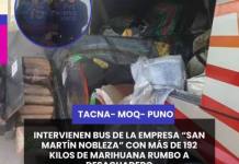 NACIONAL | INTERVIENEN BUS DE LA EMPRESA “SAN MARTÍN NOBLEZA” CON MÁS DE 192 KILOS DE MARIHUANA RUMBO A DESAGUADERO.