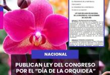 NACIONAL | PUBLICAN LEY DEL CONGRESO POR EL “DÍA DE LA ORQUIDEA”.
