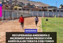 MOQUEGUA | RECUPERARÁN ANDENERÍA E INCREMENTARÁN PRODUCCIÓN AGRÍCOLA EN TORATA CON FONDO DE SOUTHERN PERÚ.