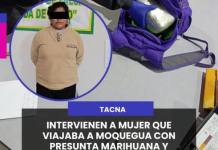 TACNA | INTERVIENEN A MUJER QUE VIAJABA A MOQUEGUA CON PRESUNTA MARIHUANA Y ALCALOIDE DE COCAÍNA.