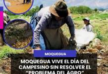 MOQUEGUA VIVE EL DÍA DEL CAMPESINO SIN RESOLVER EL “PROBLEMA DEL AGRO”.