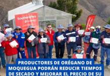 MOQUEGUA | PRODUCTORES DE ORÉGANO DE MOQUEGUA PODRÁN REDUCIR TIEMPOS DE SECADO Y MEJORAR EL PRECIO DE SU PRODUCCIÓN.