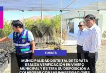 TORATA | MUNICIPALIDAD DISTRITAL DE TORATA REALIZA VEREFICACIÓN EN VIVERO MUNICIPAL Y REITERA SU DISPOSICIÓN A COLABORACIÓN CON LAS INVESTIGACIONES.