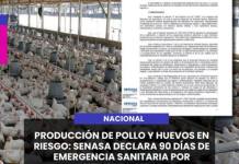 NACIONAL | PRODUCCIÓN DE POLLO Y HUEVOS EN RIESGO: SENASA DECLARA 90 DÍAS DE EMERGENCIA SANITARIA POR INFLUENZA AVIAR.