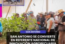 MOQUEGUA | SAN ANTONIO SE CONVIERTE EN REFERENTE NACIONAL EN INNOVACIÓNAGROPECUARIA.