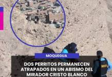 MOQUEGUA | DOS PERRITOS PERMANECEN ATRAPADOS EN UN ABISMO DEL MIRADOR CRISTO BLANCO.