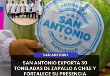 MOQUEGUA | SAN ANTONIO EXPORTA 30 TONELADAS DE ZAPALLO A CHILE Y FORTALECE SU PRESENCIA INTERNACIONAL.