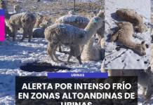 UBINAS | ALERTA POR INTENSO FRÍO EN ZONAS ALTOANDINAS DE UBINAS.