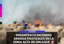 PUQUINA | GIGANTESCO INCENDIO ARRASA PASTIZALES EN LA ZONA ALTA DE ORLAQUE.