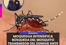 MOQUEGUA | MOQUEGUA INTENSIFICA BÚSQUEDA DEL MOSQUITO TRANSMISOR DEL DENGUE ANTE RIESGO DE INGRESO.