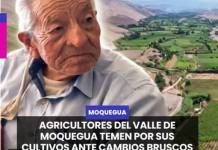 MOQUEGUA | AGRICULTORES DEL VALLE DE MOQUEGUA TEMEN POR SUS CULTIVOS ANTE CAMBIOS BRUSCOS DE TEMPERATURA