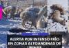 UBINAS | ALERTA POR INTENSO FRÍO EN ZONAS ALTOANDINAS DE UBINAS.