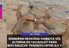ILO – TACNA | GOBIERNO REGIONAL HABILITA VÍA ALTERNA EN TACAHUAY PARA RESTABLECER TRÁNSITO ENTRE ILO Y TACNA.