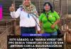 SAN ANTONIO | ESTE SÁBADO, LA MAREA VERDE DEL PPC BUSCA TOMAR LAS CALLES DE SAN ANTONIO CON LA INAUGURACIÓN DE SU LOCAL CENTRAL.