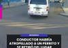 MOQUEGUA | CONDUCTOR HABRÍA ATROPELLADO A UN PERRITO Y SE RETIRÓ DEL LUGAR